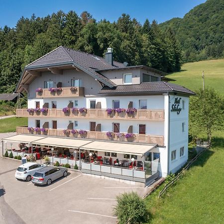 Hotel Schoenberger Нусдорф-ам-Аттерзе Екстер'єр фото